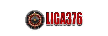 Logo LIGA376